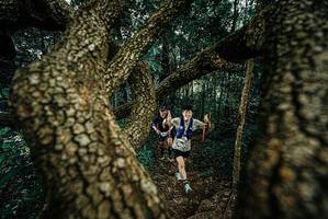 BIB: 
                            <button type="button" onclick="openModal(25698292)" class="btn btn-primary btn-sm float-right btn-popup" data-toggle="modal" data-target=".modal-high-quality">
                        <i class="fas fa-shopping-cart"></i> Add to Cart
                    </button>
                                            <button type="button" onclick="isThisMe(25698292, true)" class="btn btn-success btn-sm float-right btn-popup btn-isme hidden" data-toggle="tooltip" data-placement="bottom" title="นี่คือรูปของคุณใช่ไหม คลิกที่นี่เพื่อเอาเข้าอัลบั้ม">
                        <i class="fas fa-plus"></i> Add to album
                    </button>
                    <button type="button" onclick="isThisMe(25698292, false)" class="btn btn-warning btn-sm float-right btn-popup btn-isnotme hidden">
                        <i class="fas fa-ban"></i> Remove from album
                    </button>